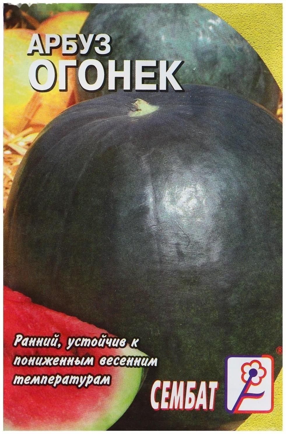 Арбуз огонек описание и фото. Арбуз огонек 1 г. Семена Арбуз огонек. Сорт арбуза огонек. Арбуз огонек описание.
