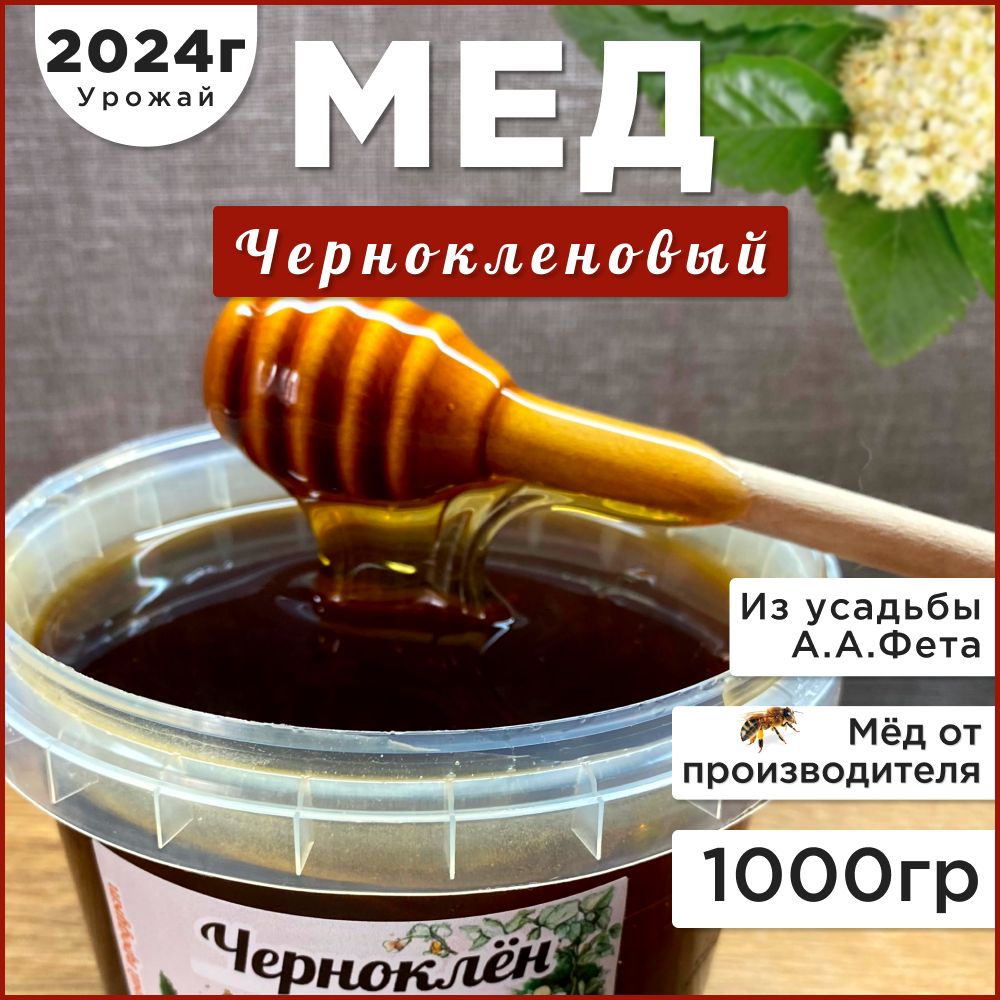 Мед черноклен 1кг 2024г