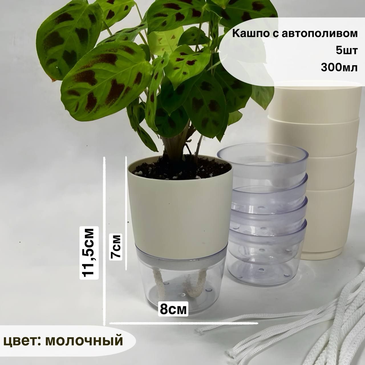 Горшок для цветов с автополивом, фитильный полив, 0,3 л, набор 5 штук, молочный