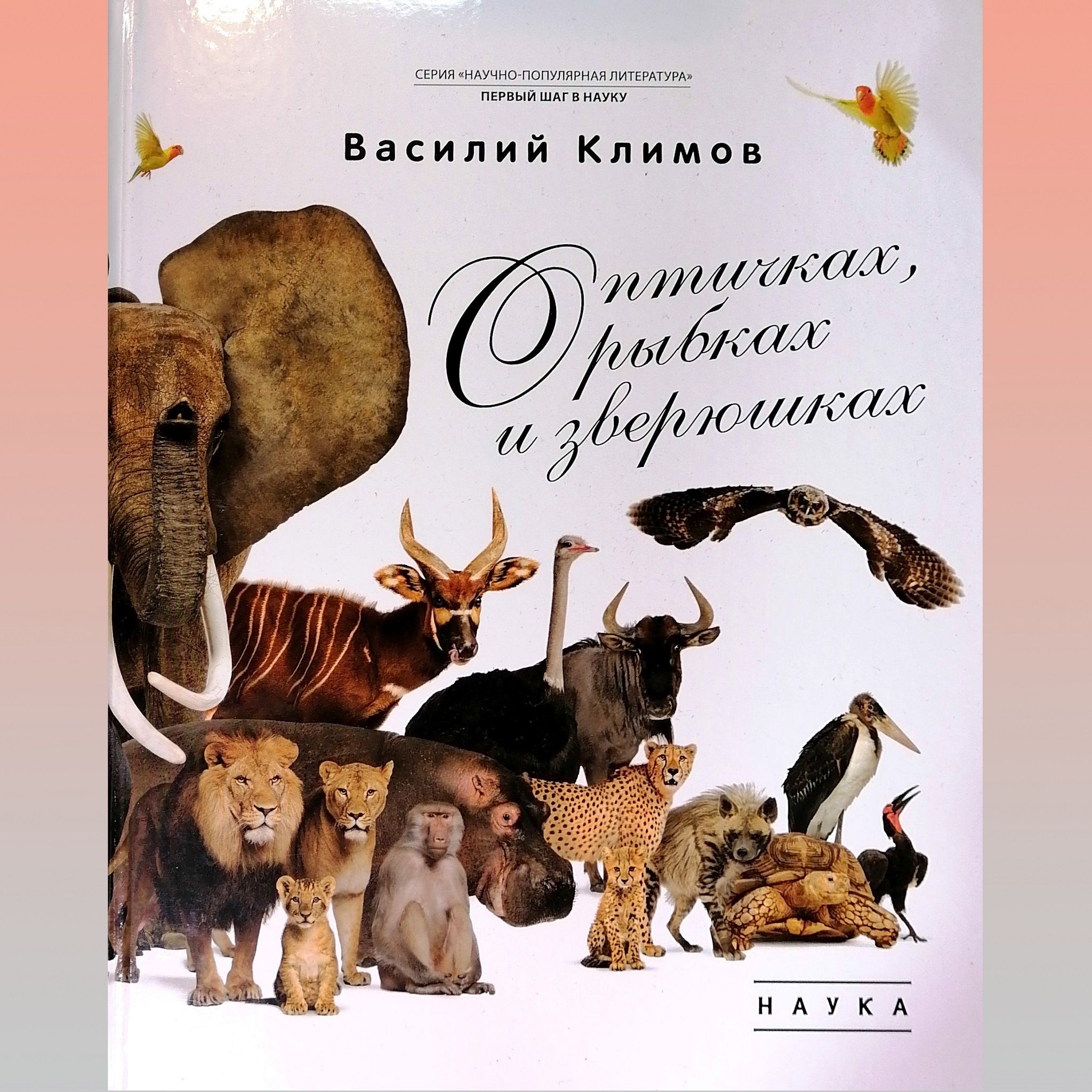 О птичках, рыбках и зверюшках | Климов Василий