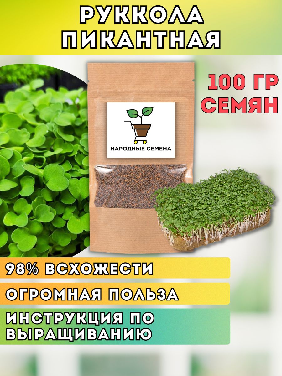 Руккола пикантная 100 гр. семена для выращивания микрозелени