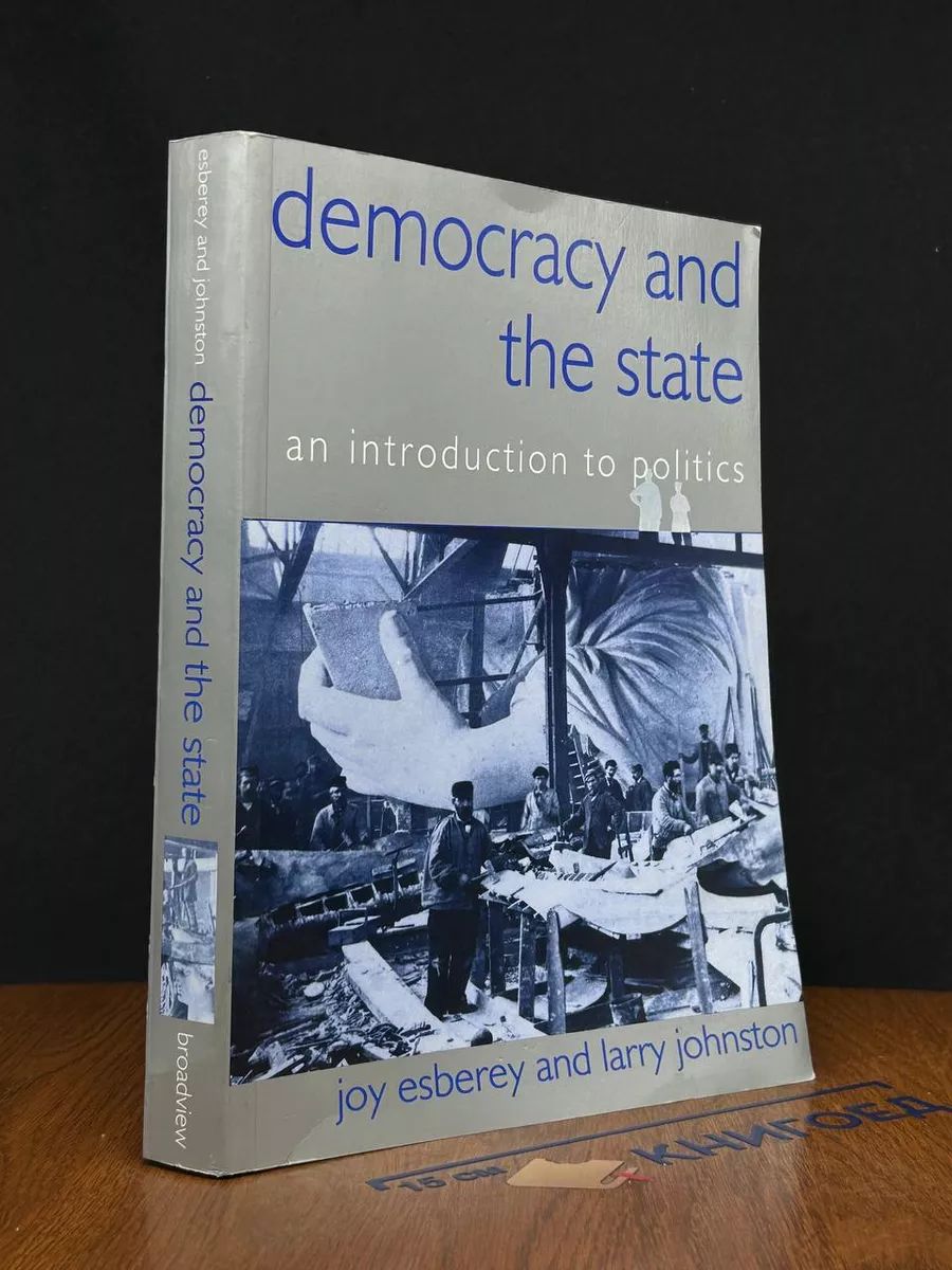 Democracy and the state. An introduction to politics