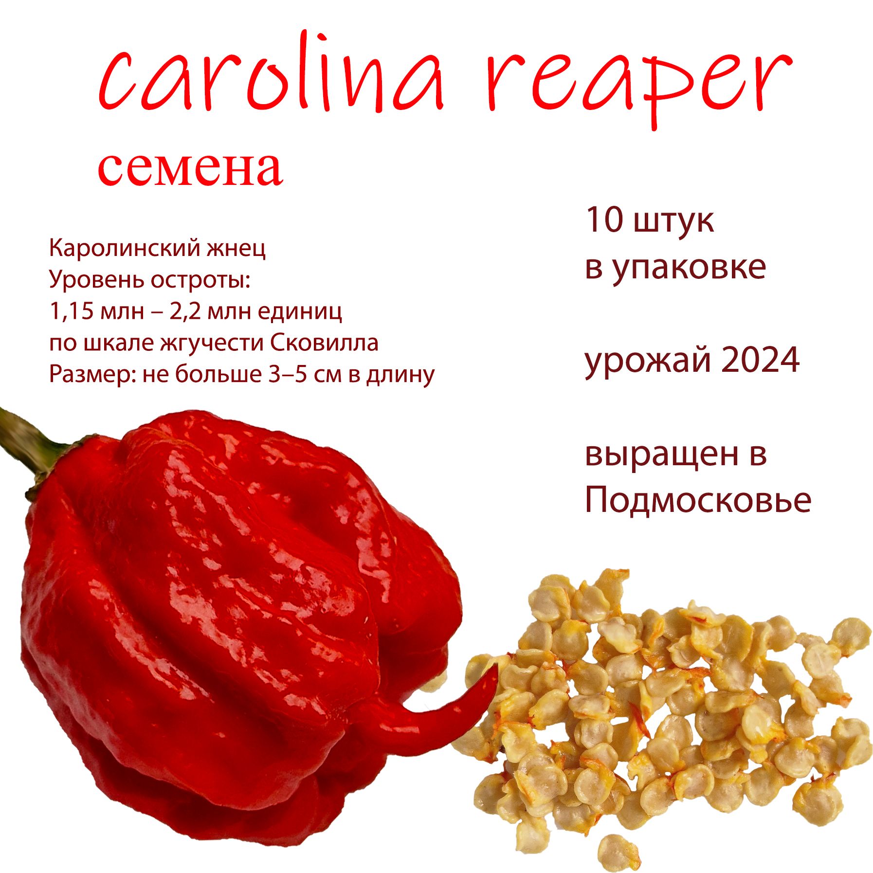 Семена Каролина Риппер Купить