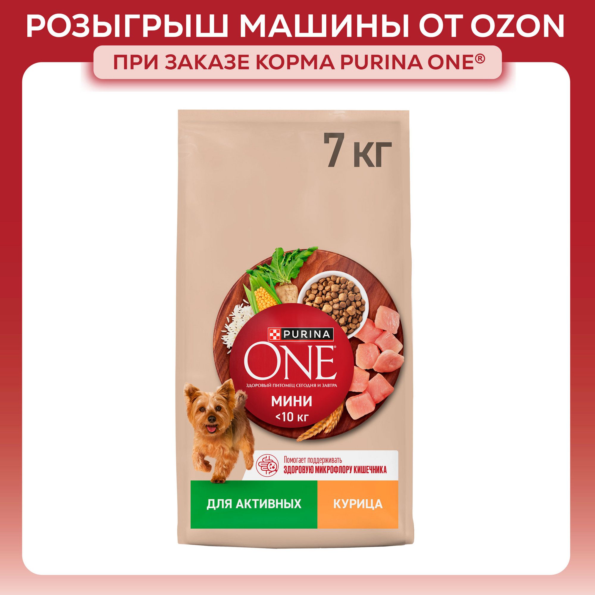 Сухой корм для собак PURINA ONE МИНИ для мелких и карликовых пород при активном образе жизни, с курицей и рисом, 7 кг