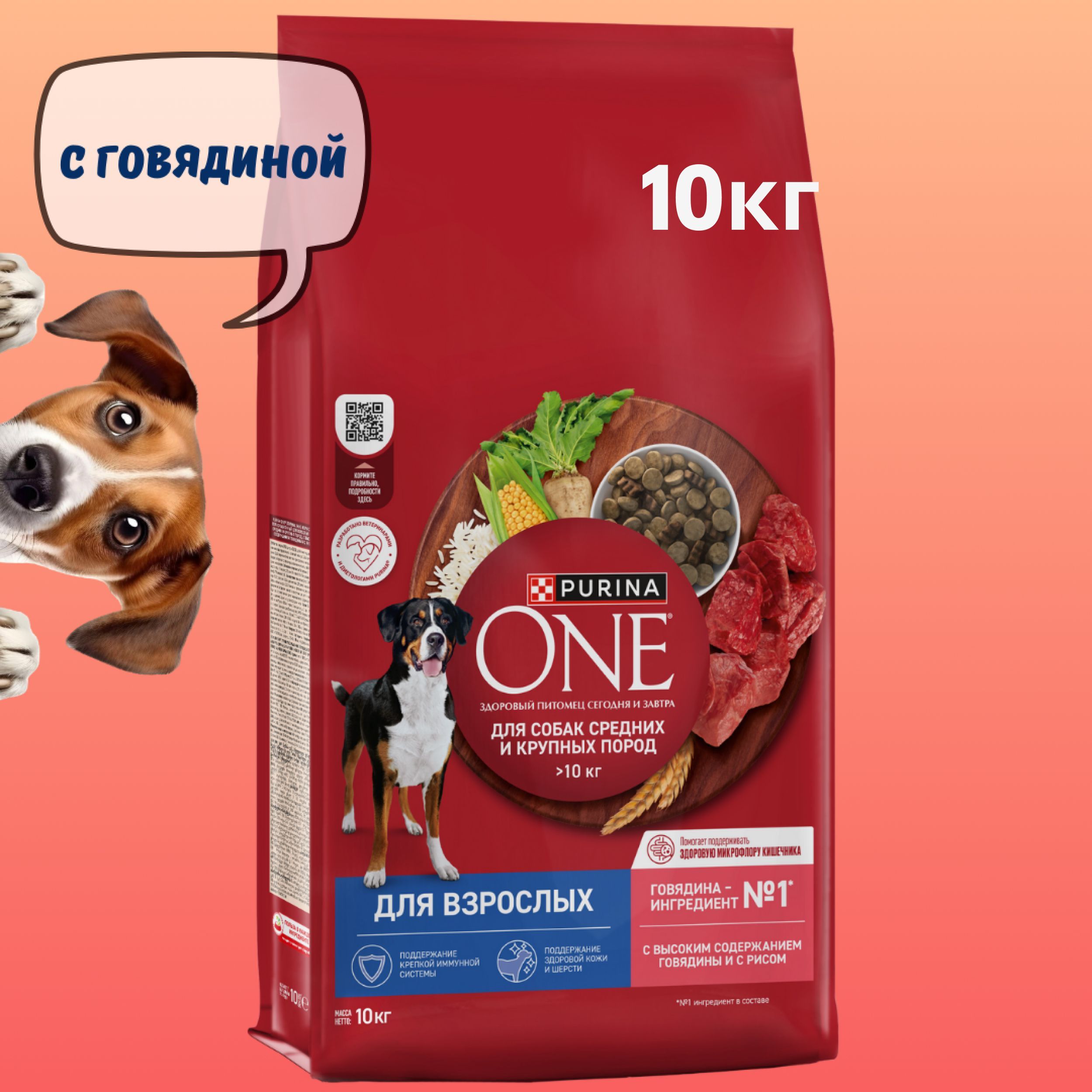 Сухой корм Purina ONE для взрослых собак средних и крупных пород, с высоким содержанием говядины и рисом. Пакет, 10 кг