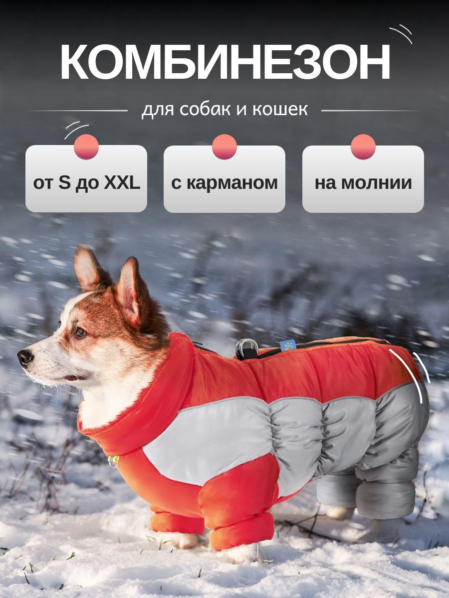 Комбинезон для собак мелких пород и кошек Arnydog "Safe" красный, L (32 см)