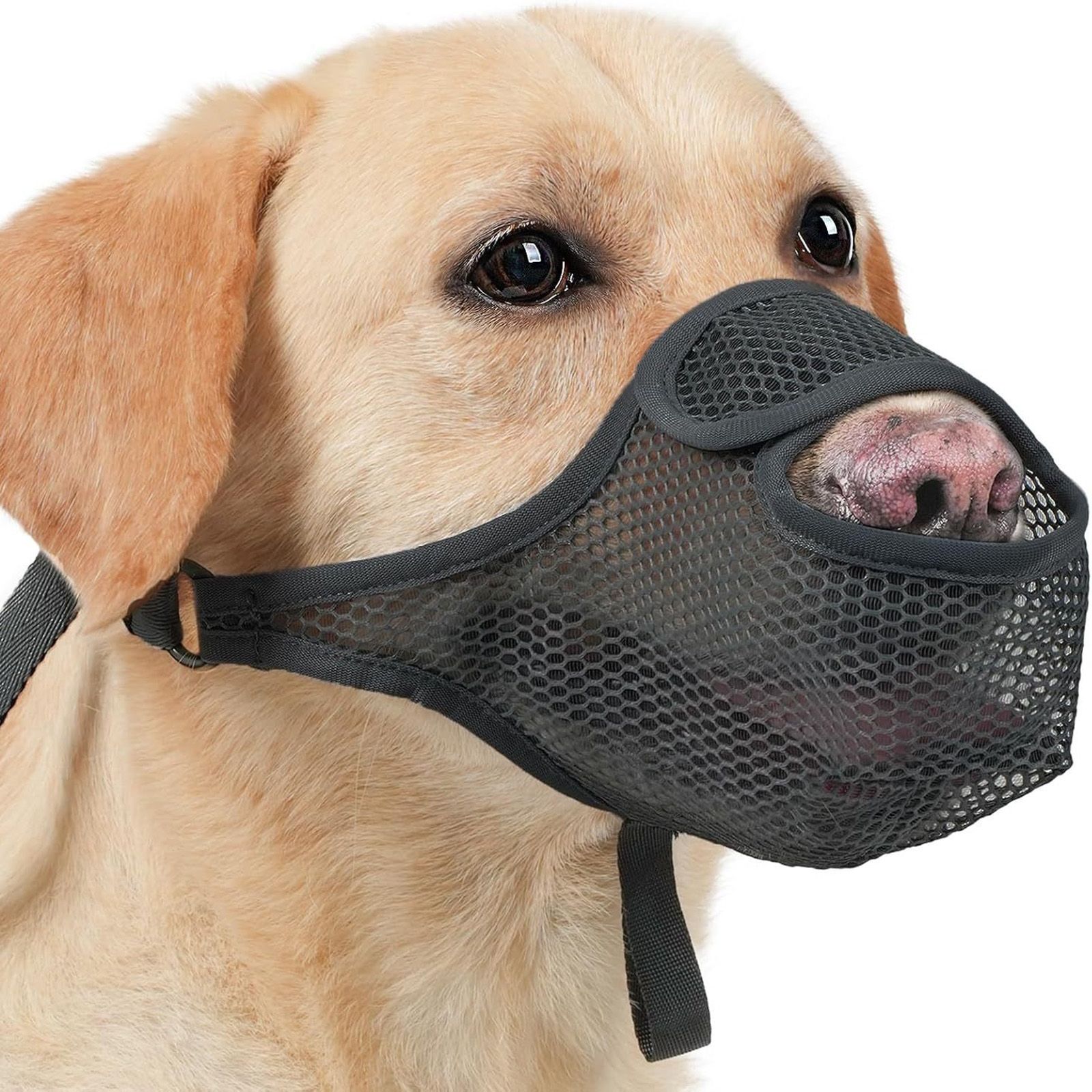 Воздухопроницаемый сетчатый намордник для собак