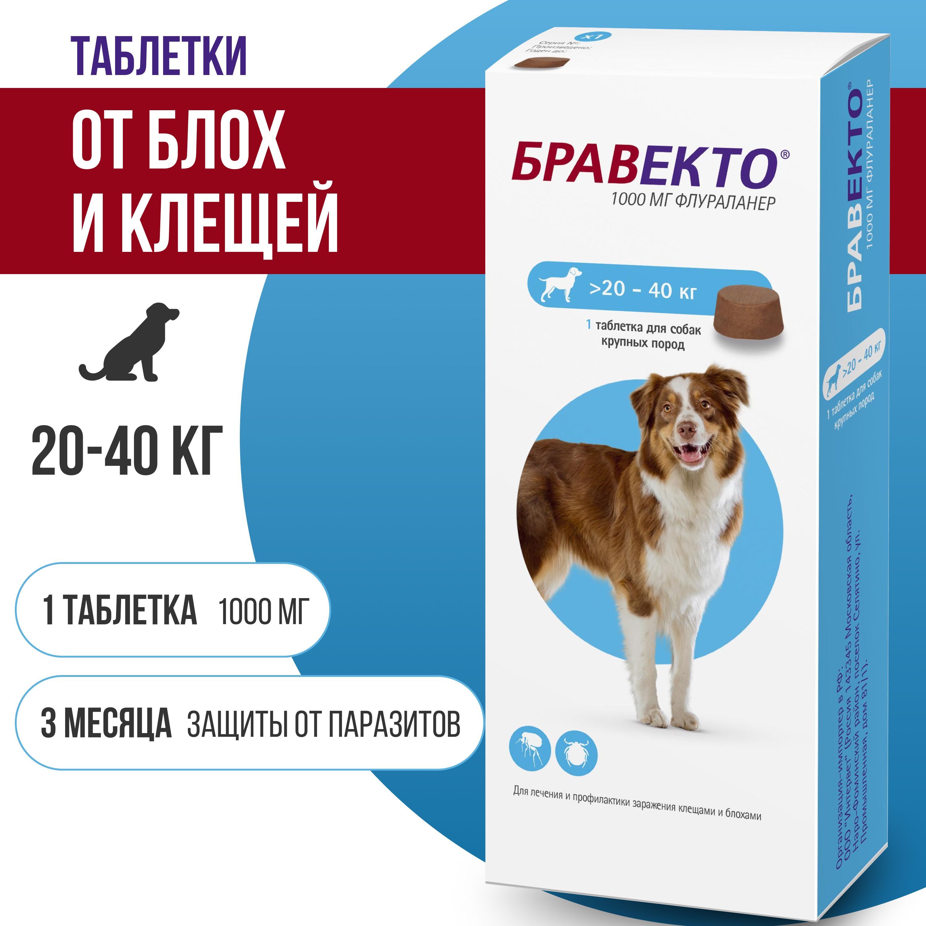 Бравекто 20-40 для собак в Казани — купить по низкой цене на КУПИ.РУ