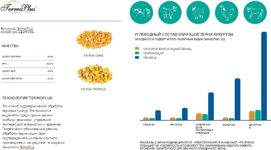 Кукуруза ТермоПлюс производство Атлант Агро