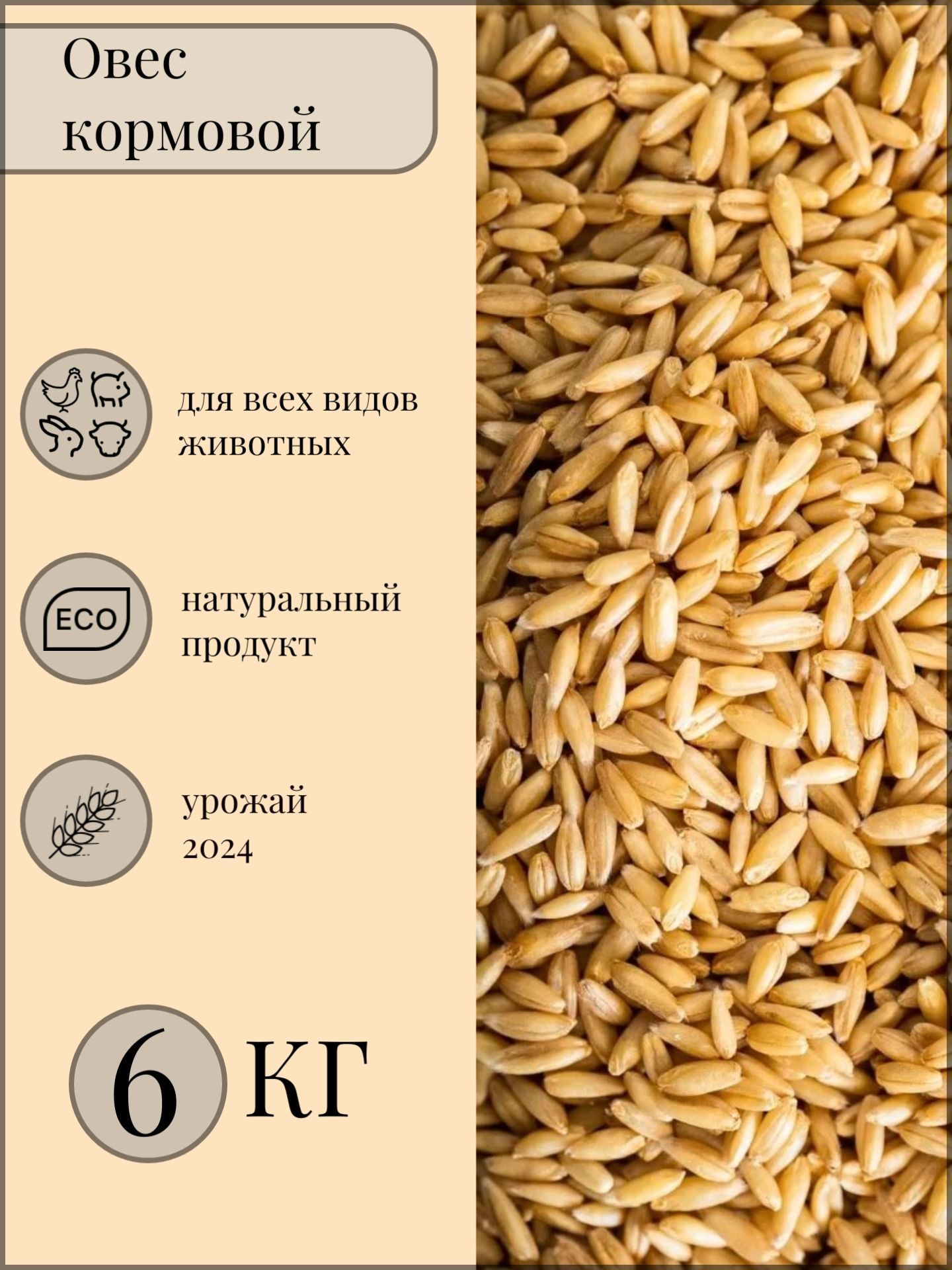 Овес фуражный 6кг. Корм для птиц, для скота. Кормовая добавка