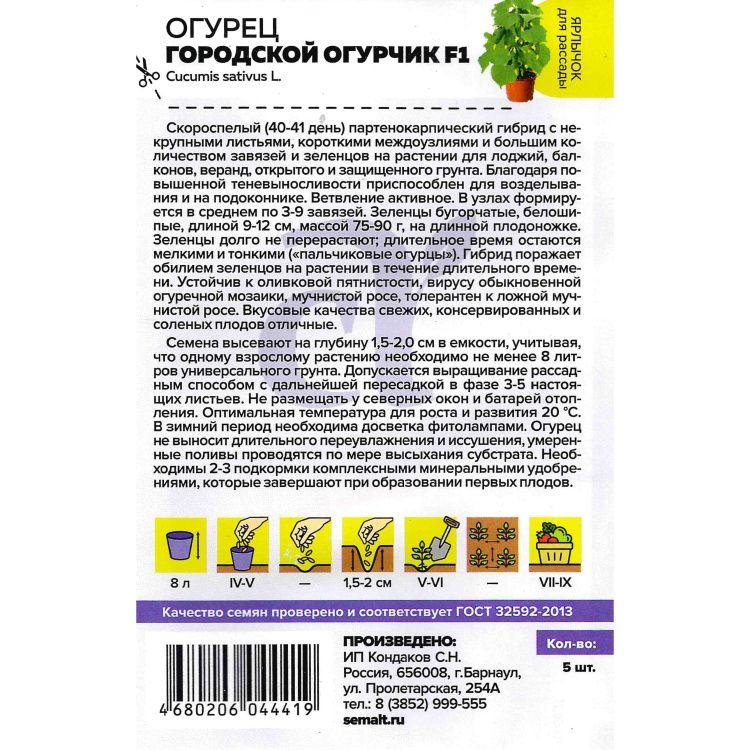 Огурец Городской Огурчик F1(图2)