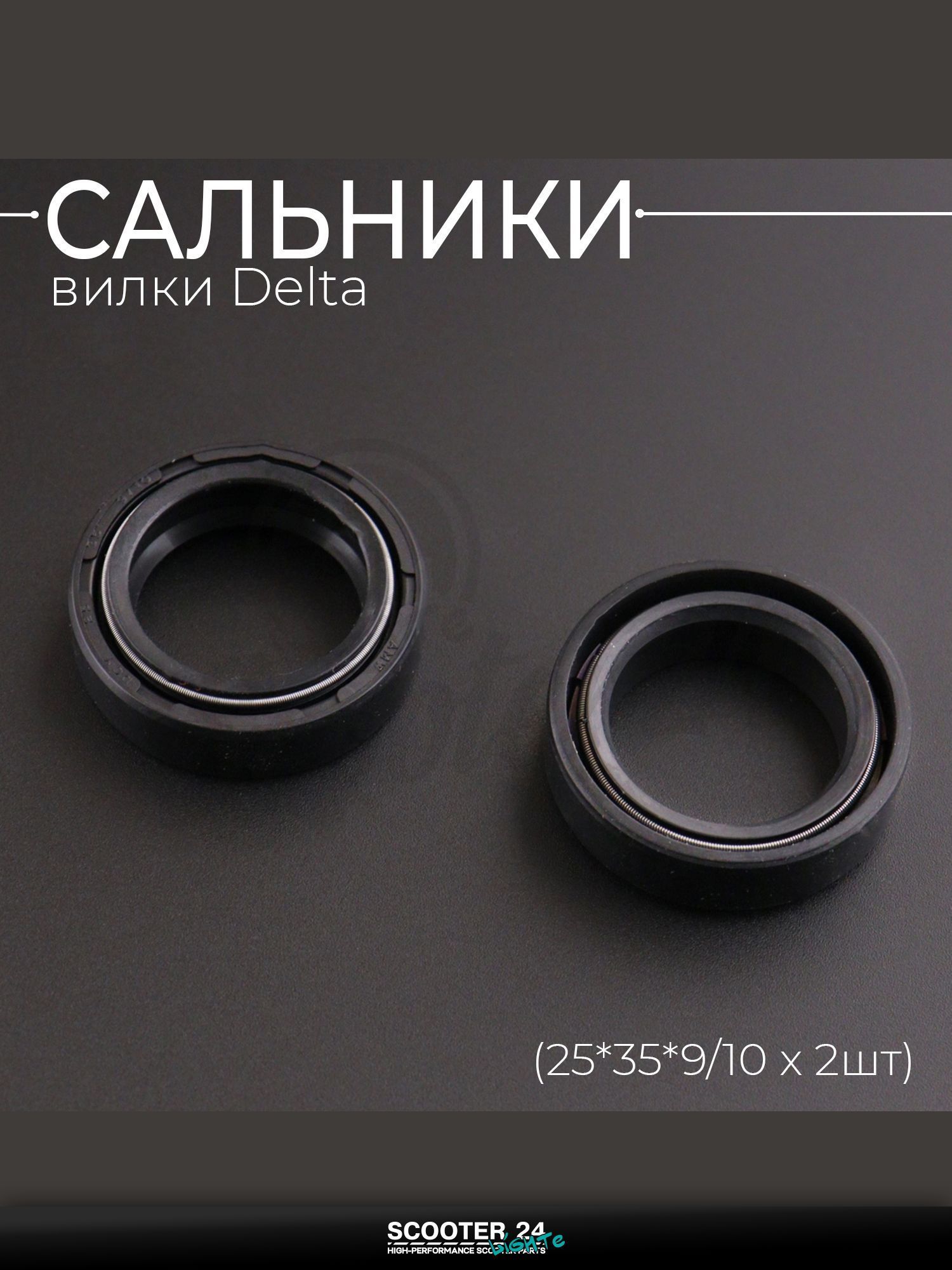 Сальники вилки на мотоцикл и мопед Delta / Дельта (25*35*9/10 x 2шт) "BEEZMOTO"