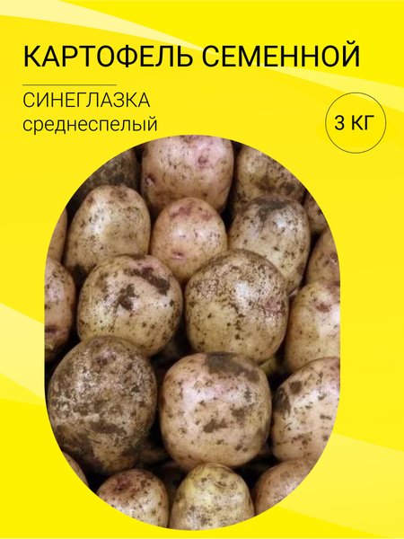 Картофель картофель на посадку 3 кг - купить по выгодным ценам в ...