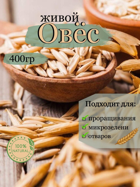 Овес живой для проращивания 400 гр - купить с доставкой по выгодным ...