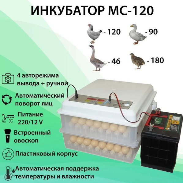 120 Инкубатор автоматический для яиц - купить с доставкой по выгодным ...