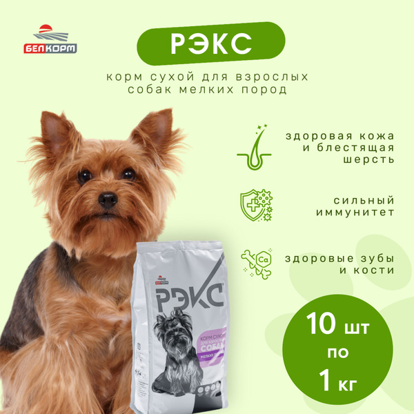 Полнорационный сухой корм для собак мелких пород Рэкс (Рекс 10 штук по ...