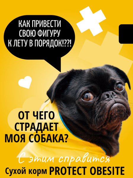 Корм сухой диетический для собак с ожирением Protect Obesite ...