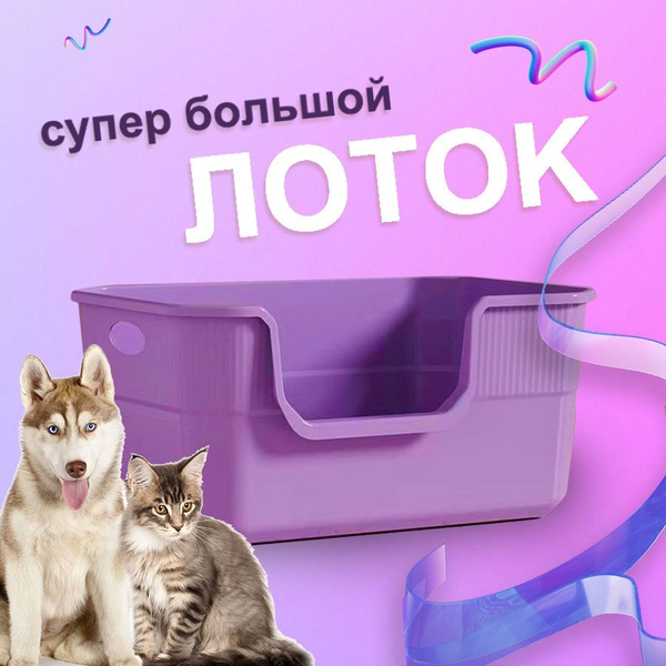 Лоток для кошек/ большой/кошачий лоток,500*350*220,фиолетовый - купить ...