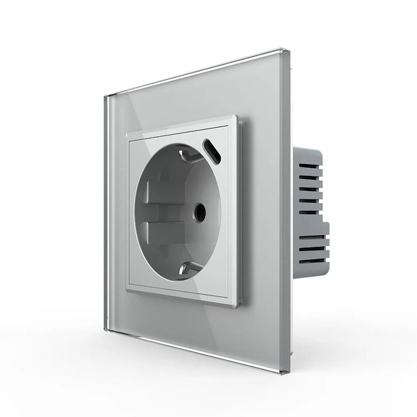 Розетка электрическая +USB type-C с блоком питания 18W Livolo.ru ...