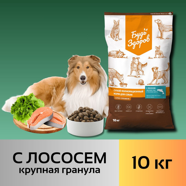 Сухой корм Будь Здоров для собак при пищевой аллергии с рыбой, крупная ...