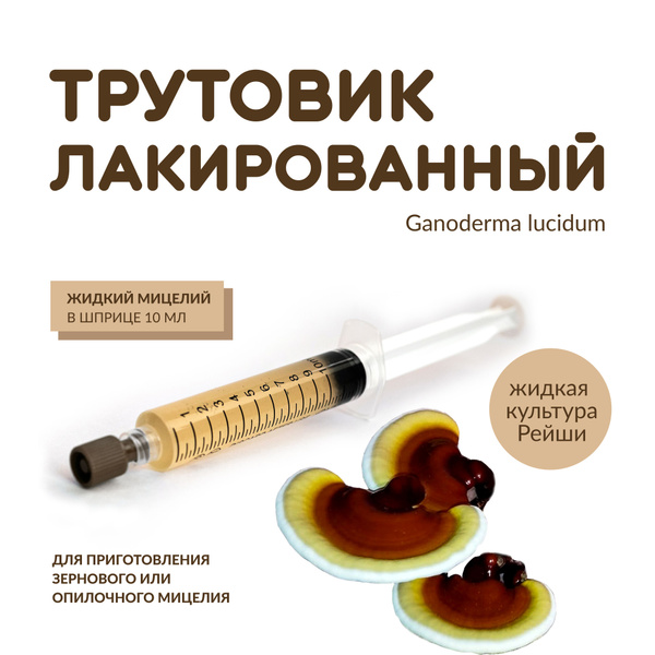 Жидкий мицелий Трутовика лакированного - купить по выгодным ценам в ...