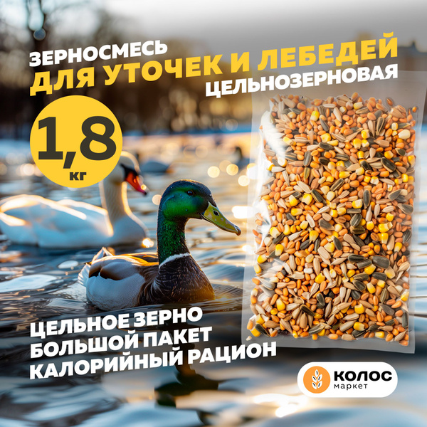Колос Маркет, корм для уток и лебедей, зерносмесь, 1.8 кг купить на ...
