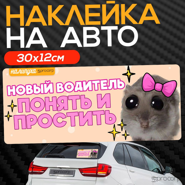 Наклейка на автомобиль прикольная надпись. Понять и простить - купить ...