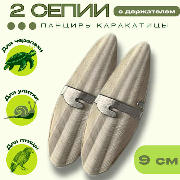 Сепия Панцирь каракатицы для попугаев, черепах, улиток, 9 см с ...
