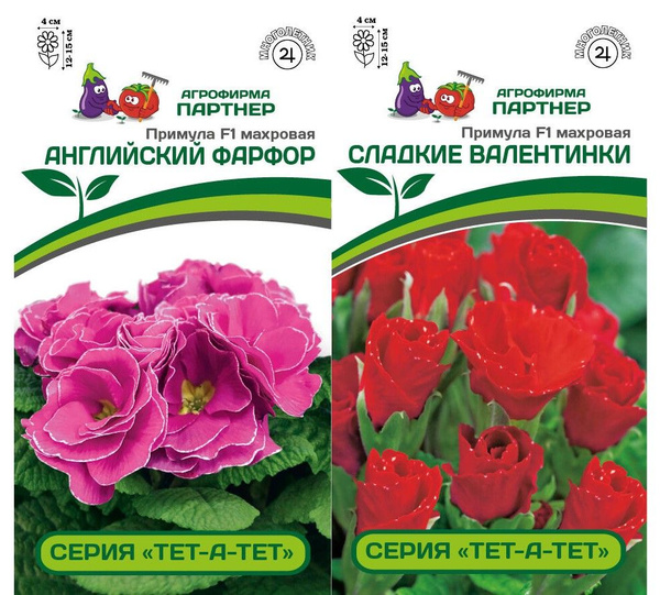 Примулы Агрофирма Партнер Цветы - купить по выгодным ценам в интернет ...