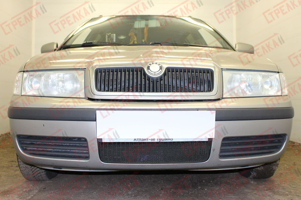 Защита радиатора черная Skoda Octavia (2000-2011) A4 рестайлинг ...