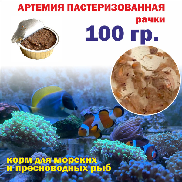 Артемия пастеризованная рачки 100 гр./ корм для морских и пресноводных ...