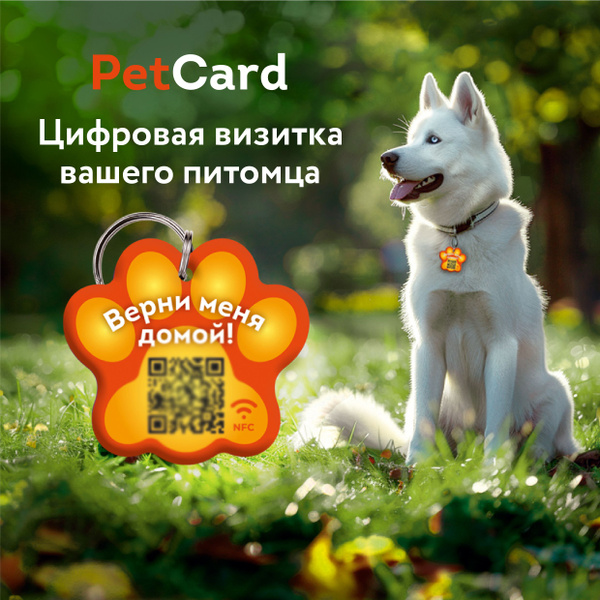 Адресник для собак и кошек с QR кодом и NFC / цифровая визитка PetCard ...