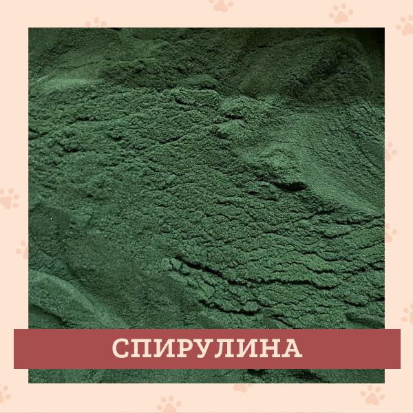 Спирулина, порошок, 100 гр. - купить с доставкой по выгодным ценам в ...