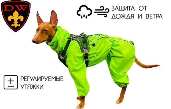 Дождевик AIR для собак мелких и средних пород: XS, сука, лайм - купить ...