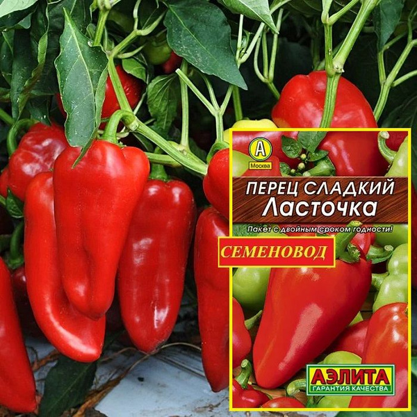 Перец сладкий Аэлита Перец. - купить по выгодным ценам в интернет ...