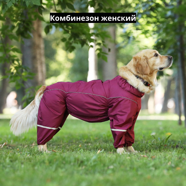 Комбинезон для собак крупных пород Chill Choll влагозащитный для ...
