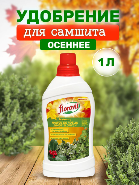 Удобрение Florovit осеннее жидкое для самшита и других вечнозеленых ...