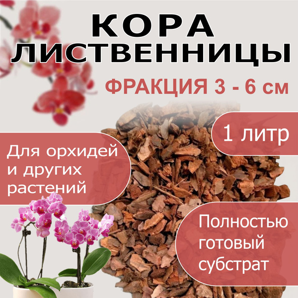 Кора лиственницы - купить по низкой цене в интернет-магазине OZON ...