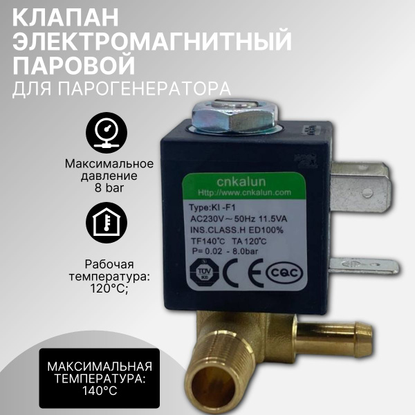 Клапан электромагнитный паровой для парогенератора - купить с доставкой ...