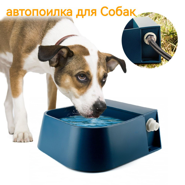 Миска для животных/2000 мл/Для крупных собак - купить с доставкой по ...