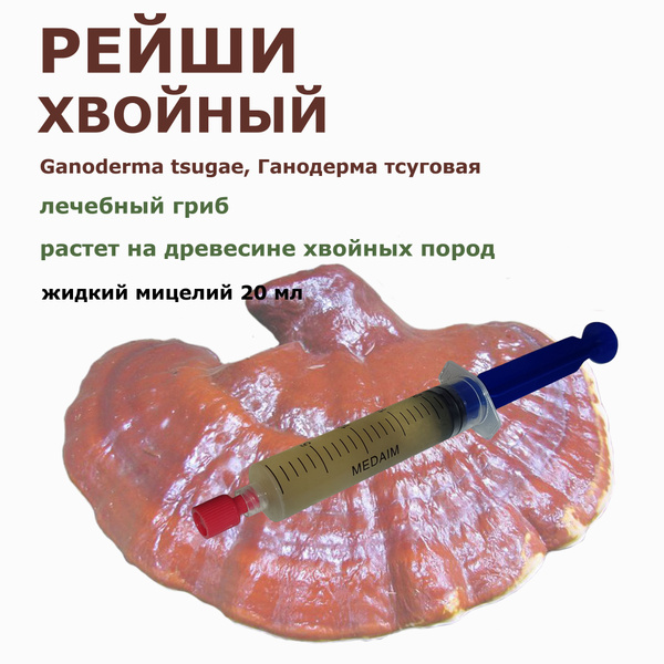 Жидкий мицелий грибов Ганодерма тсуговая (Рейши хвойный) 20 мл. купить ...