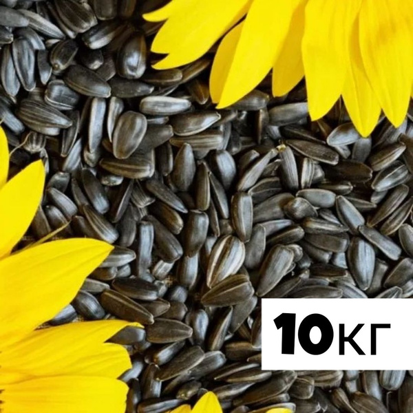 Семечки Черные Сырые Неочищенные 10000г. 1шт - купить с доставкой по ...