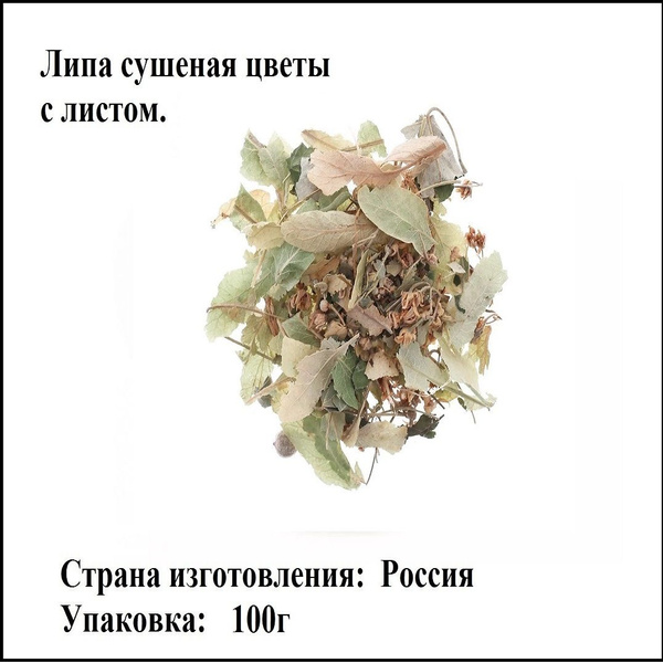 Липа сушеная 100 гр. купить на OZON по низкой цене (1728138285)