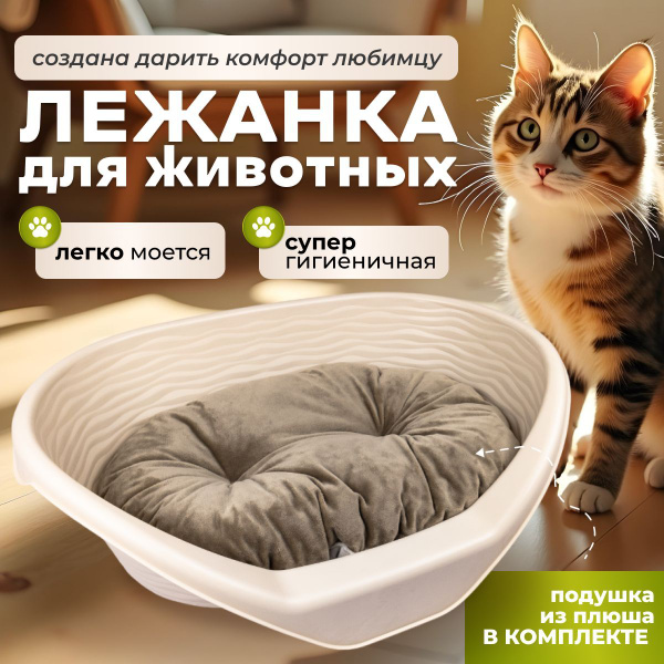 Лежанка для собаки, для кошки, для щенка, для котят, пластиковая с ...