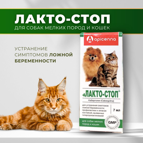 Лакто-Стоп, 7 мл, для собак мелких пород и кошек купить на OZON по ...