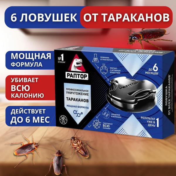 Ловушка-домик от тараканов Раптор 6 штук в упаковке купить на OZON по ...
