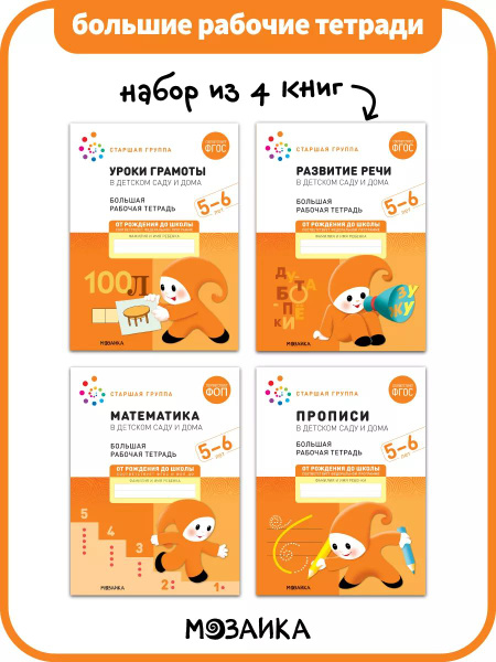 Большие рабочие тетради для дошкольников 5-6 лет. Для подготовки детей ...