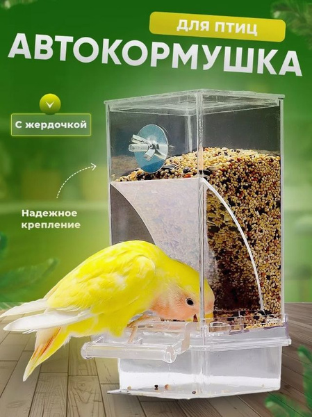 Автокормушка для птиц кормушка для попугаев купить на OZON по низкой ...