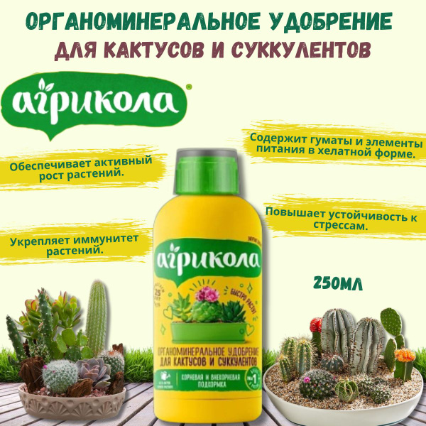Удобрение Агрикола Аква для Кактусов и Суккулентов 250мл купить на OZON ...