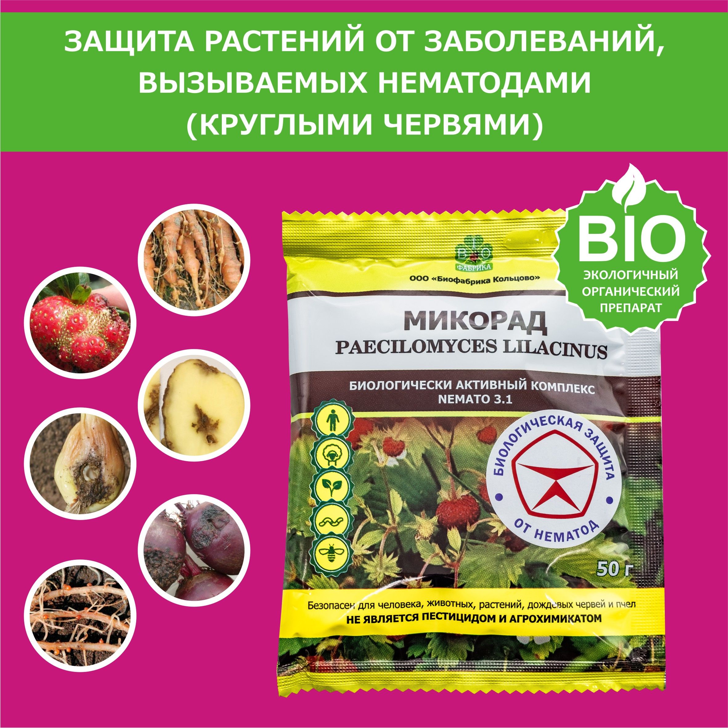 Биофунгицид Биофабрика Кольцово mikoradtlkline3.1 50 г - купить по выгодным  ценам в интернет-магазине OZON (584010243)